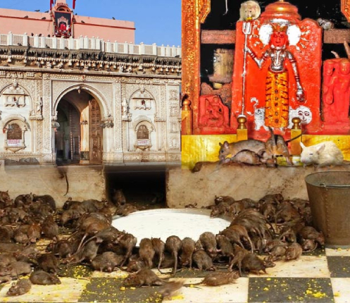 rajasthan budget tour packages