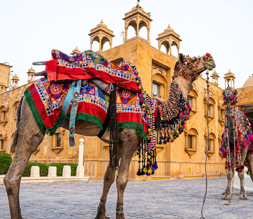 rajasthan budget tour packages