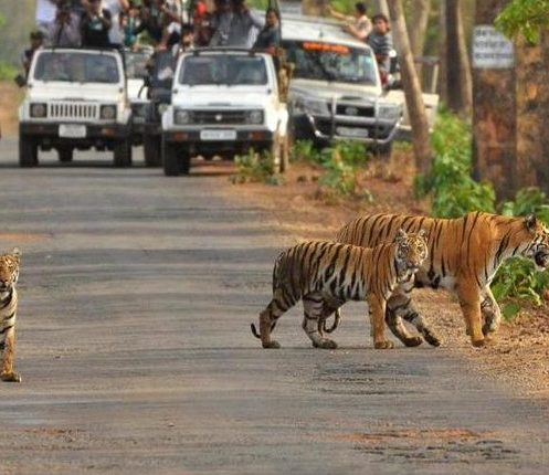 best travel agent in jodhpur and jaisalmer