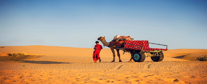 Rajasthan Tour Image